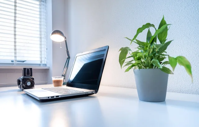 laptop, desk, office, computer, camera, plant, light, lamp, workspace, workplace, nature, coffee, table, home office. Official licensing services and public-sector workflow tools